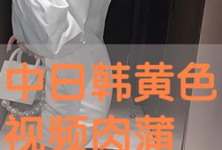 日韩黄视频,揭秘背后真相与影响